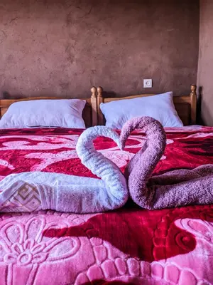 two snakes forming a heart on a bed at Café restaurante shelter calm life in Bou Dib