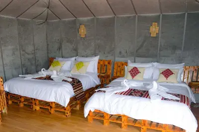 a bedroom with two beds with white sheets and birds on them at Relaxing Desert Camp in Merzouga