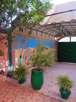 three potted plants in front of a wall with a mural at Villa Eden in Ouarzazate