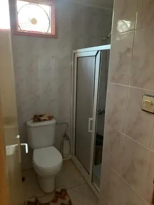 a bathroom with a toilet and a shower and a window at Ferme fes in Fès