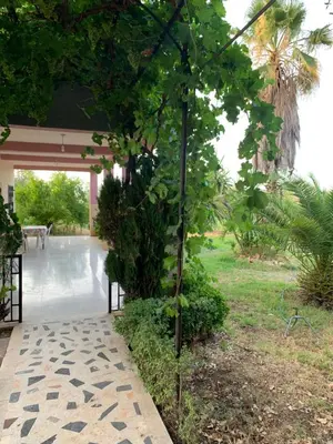 a tree in the middle of a courtyard at Ferme fes in Fès