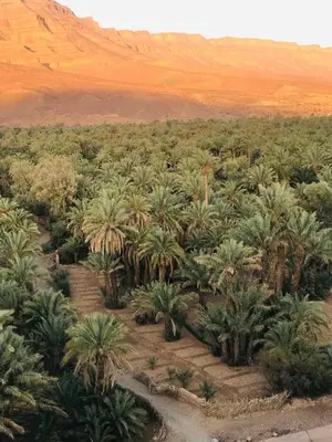 an aerial view of a desert with palm trees at Kasbah Hnini in Igdourane
