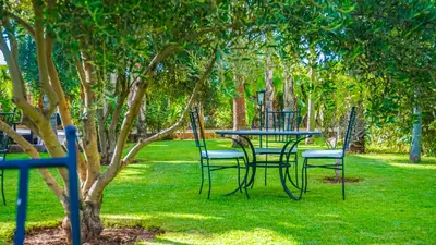 a table and chairs sitting under a tree at Weedan Hôtel&Spa Marrakech in Oulad Snaguia