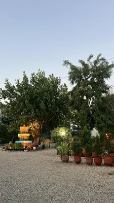 a group of potted plants and trees in a park at Motel Ain Mersa in Ifrane