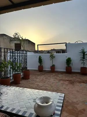 a courtyard with potted plants on a white wall at Dar Kenz Fes in Fès