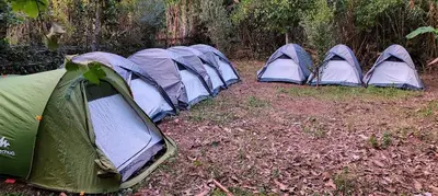 a row of tents sitting in the grass at Eco-Lodge IGHAZRAN in Ahermoumou