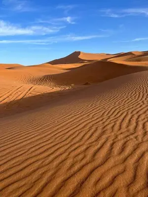a desert with sand dunes and a mountain in the background at Excreción erg chegaga 2 jour départ zagora 4x4 in Zagora