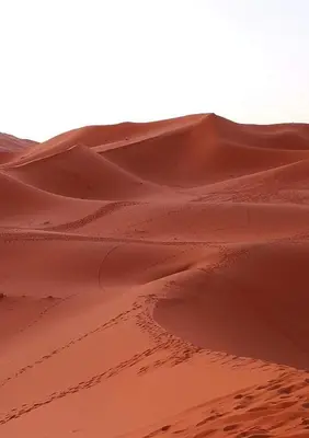 a sand dune with tracks in the desert at Excreción erg chegaga 2 jour départ zagora 4x4 in Zagora