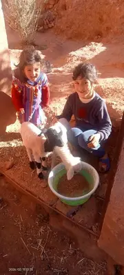 two children are playing with a toy lamb and a bowl at Dar Brahim Resto Beds in Ouarzazate