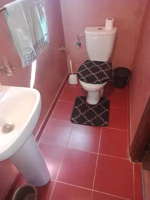 a bathroom with a toilet and a sink at Kasbah Tialouite in Kalaat MGouna