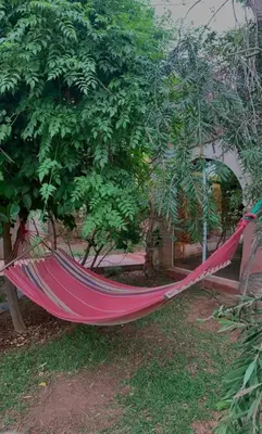 a hammock hanging from a tree in a garden at villa Marrakech raja in Marrakech