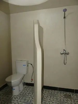a bathroom with a toilet and a shower at Dar Diafa Chez Anaam in Er Rachidia