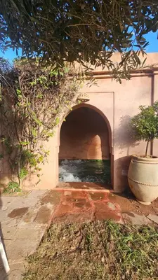 a concrete tunnel with a plant in a pot at Villa Pauline with private pool & jacuzzi, hotel service and no insight in Marrakech