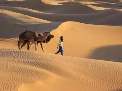 a man walking a camel in the desert at AUBERGE KACHTi in Mhamid