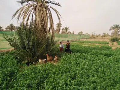 two children and two dogs sitting in the grass at AUBERGE KACHTi in Mhamid