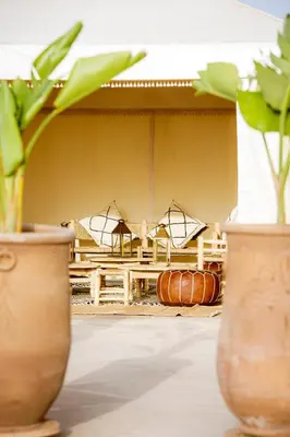 two vases with plants in front of a table at Maison Daouia in Marrakech