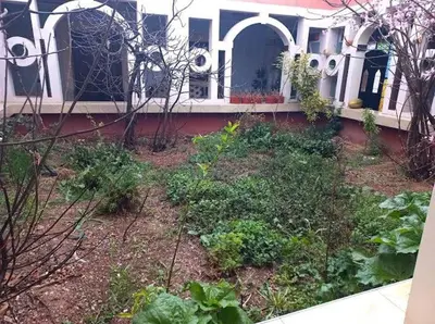a garden in front of a house at Assounfou in Ouarzazate