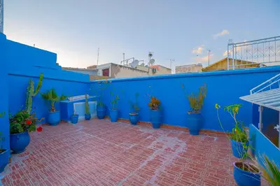 a blue wall with a bunch of potted plants at Dar Lmrama Fes - Entire Guest House in Fès