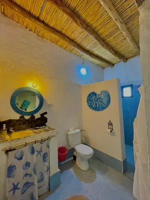 a bathroom with a toilet and a sink with a mirror at Dar Oasis Moringa in Merzane