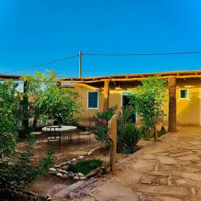 Dar Oasis Moringa