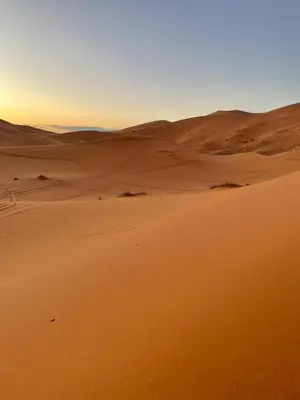 a desert with a sunset in the background at Gambi Camp in Hassilabied