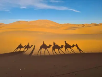 a group of people riding camels in the desert at nomad luxury camp in Merzouga