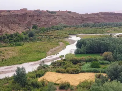 a river in the middle of a field with trees at Maison d'hôtes IZZA in Kalaat MGouna