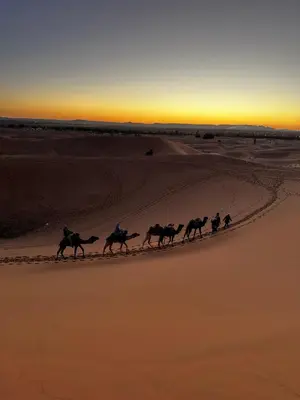 a group of horses running in the desert at sunset at berber desert home for rent in Merzouga