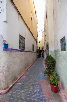 an alley with potted plants on the side of a building at Riad bel kaid fes in Fès