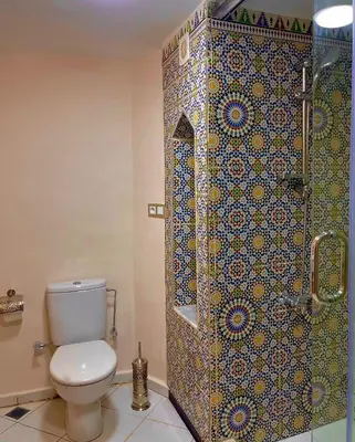 a bathroom with a toilet and a shower with a tile wall at Stay In Fez in Fès