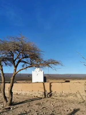 a tree and a white structure in the desert at Titanic hôtel restaurant & désert excursions lac irik in Foum Zguid