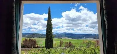 a window with a tall tree in a field at Auberge Tourtite in Ifrane