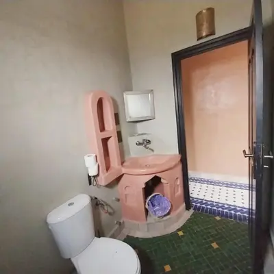 a bathroom with a pink toilet and a shower at Riad Hassi Labied Merzouga in Merzouga