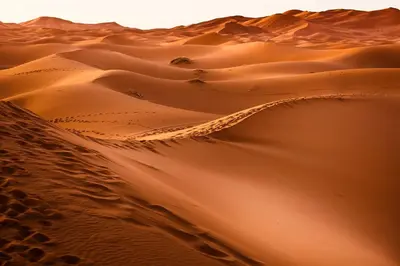a sand dune in the middle of a desert at Desert Erg Chigaga Lodge in El Gouera