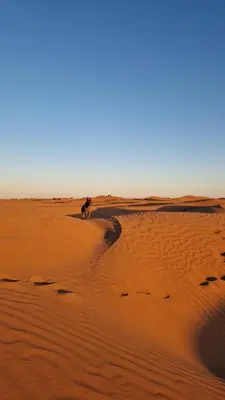 a person riding a horse in the desert at Sahara Authentic Berber Camp in Mhamid