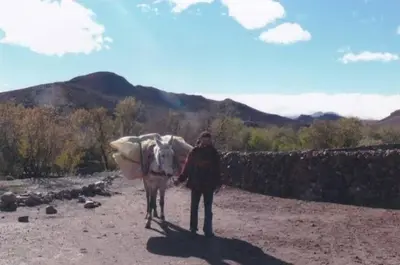 a man standing next to a donkey on a field at Chez L'habitant Brahim kanih in Anzel