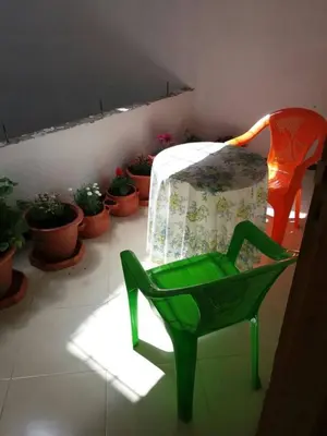 a green chair and table in a room with potted plants at Appartement Ain Asserdoun in Beni Mellal
