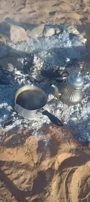 a bird sitting on the ground next to a bowl at Auberge Hassi Fougani in Tafraoute Sidi Ali