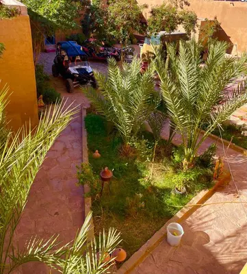 an overhead view of a garden with palm trees at Ryad lcaid in Tissint