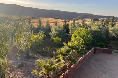 a garden with palm trees and bushes in a field at Escapade famille - vue panoramique et piscine privée in Aït Ghemat
