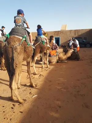 a group of people riding on the backs of camels at Chez Meriem in Merzouga