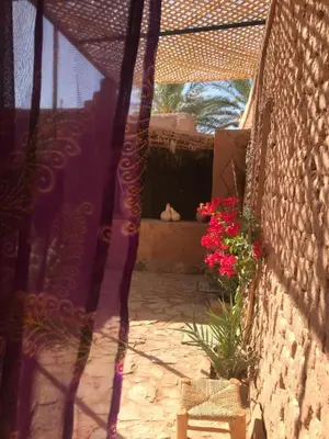 a view of a patio with flowers and a cat at Kasbah Mashallah in Tagounite