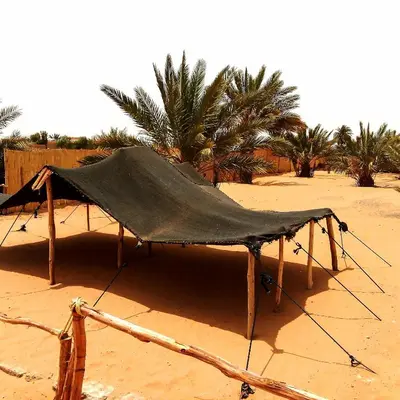 a tent in the desert with palm trees in the background at ERG MERZOUGA SAHARA CAMP in Merzouga