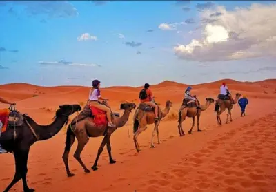 a group of people riding on camels in the desert at Glamping luxury camp in Merzouga