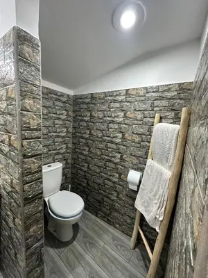 a bathroom with a toilet and a stone wall at RIAD dreams dades in Tamellalt