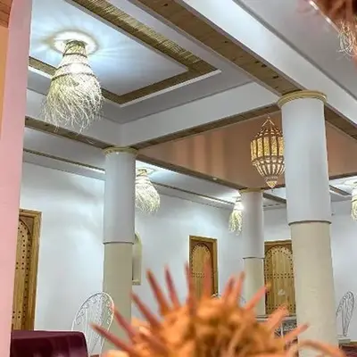 RIAD dreams dades