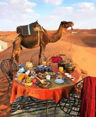 a camel in the desert with a table with food at Merzouga Top Luxury Camp in Merzouga