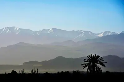 a palm tree in front of a mountain range at Villa Agora, Villa à la campagne proche Marrakech in Marrakech