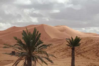 Gallery image of appartement familiale in Merzouga