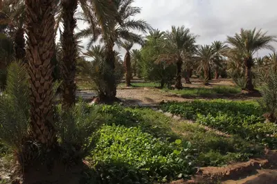 Gallery image of appartement familiale in Merzouga
